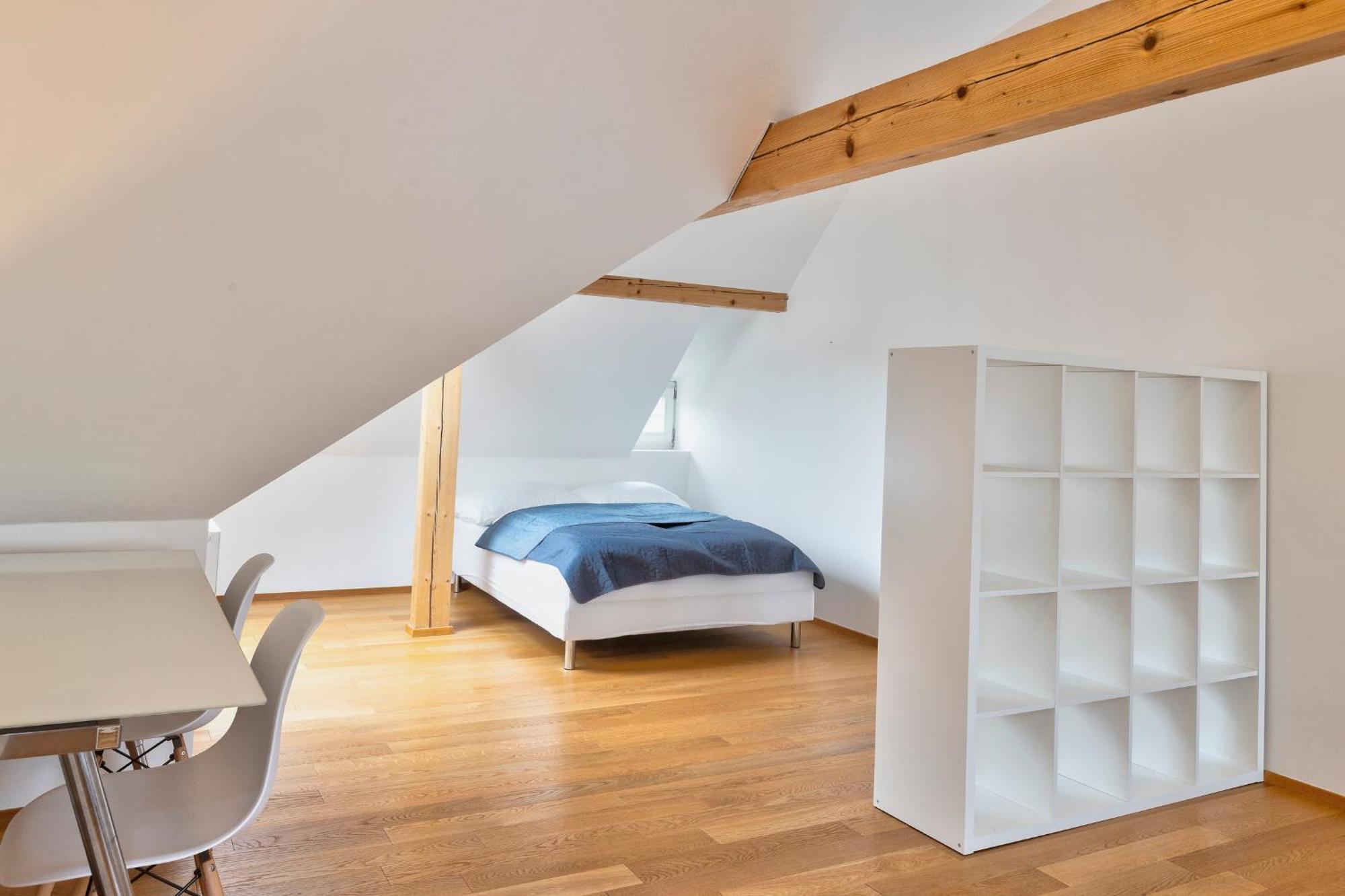 Luxury&spacious 140m2 Two Floor Rooftop Apartment Prag